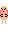 :tigSquish